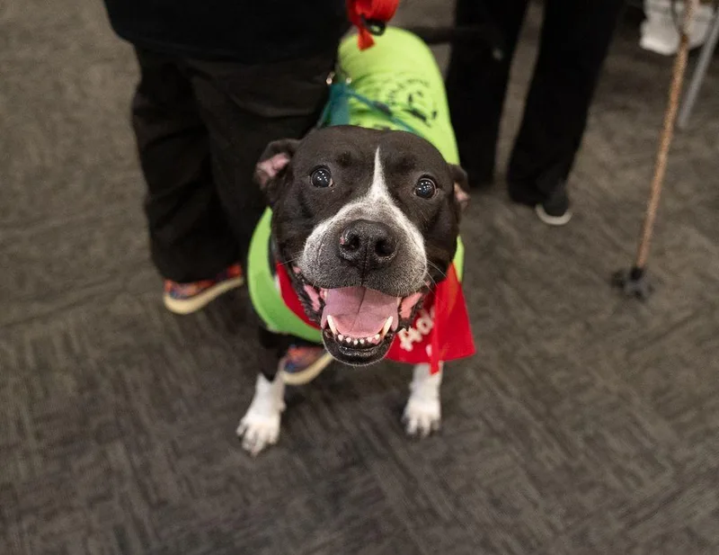 Johnny Cash thumbnail 2