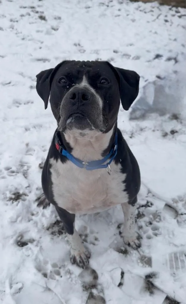 Johnny Cash thumbnail 6