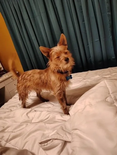 Maverick thumbnail 3