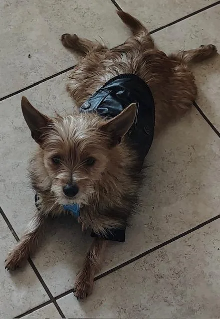 Maverick thumbnail 5