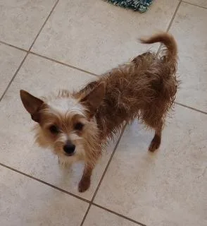 Maverick thumbnail 6