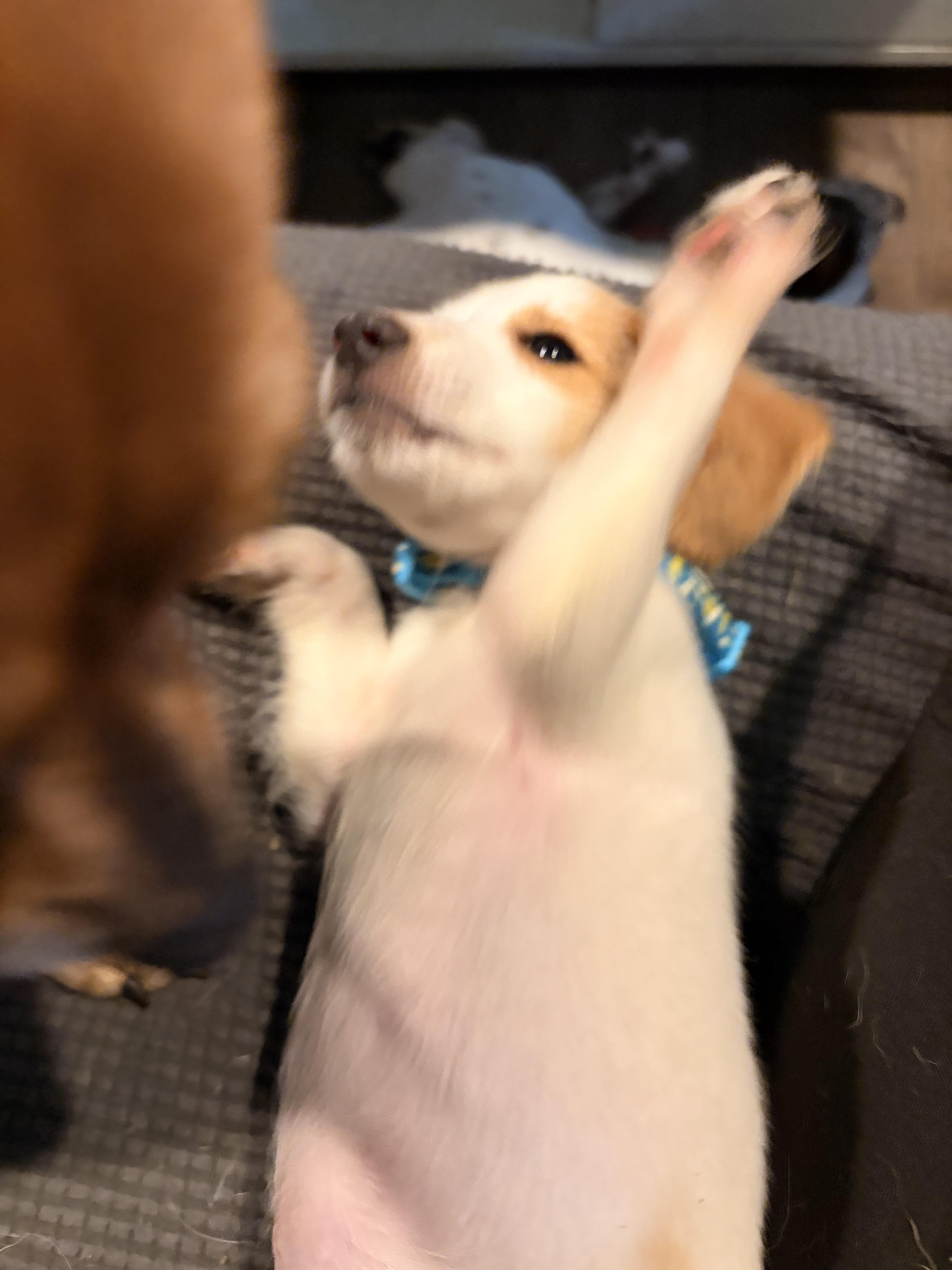 Benson thumbnail 2