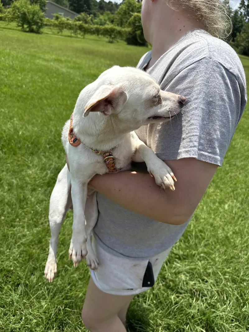 Suzie thumbnail 3