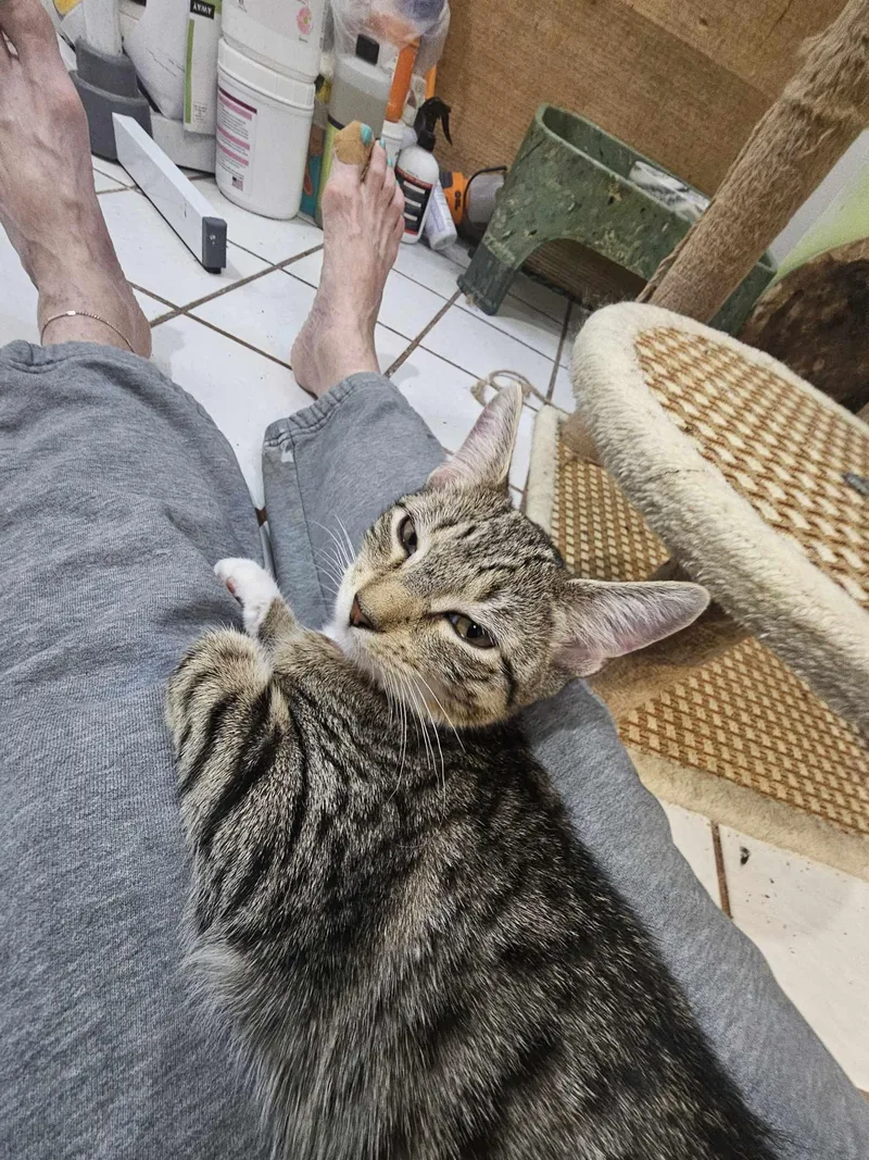 Constance thumbnail 3