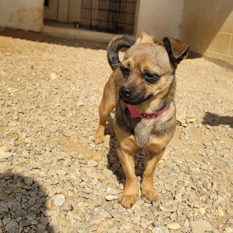 Ms Sassy thumbnail 3