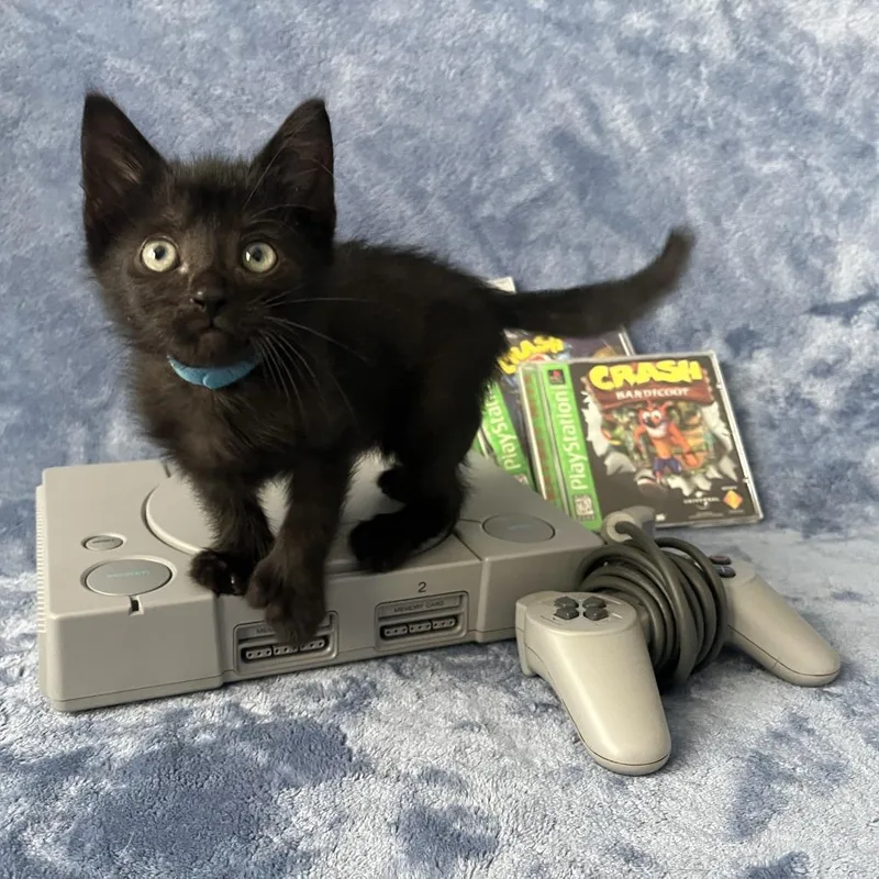 PlayStation thumbnail 2