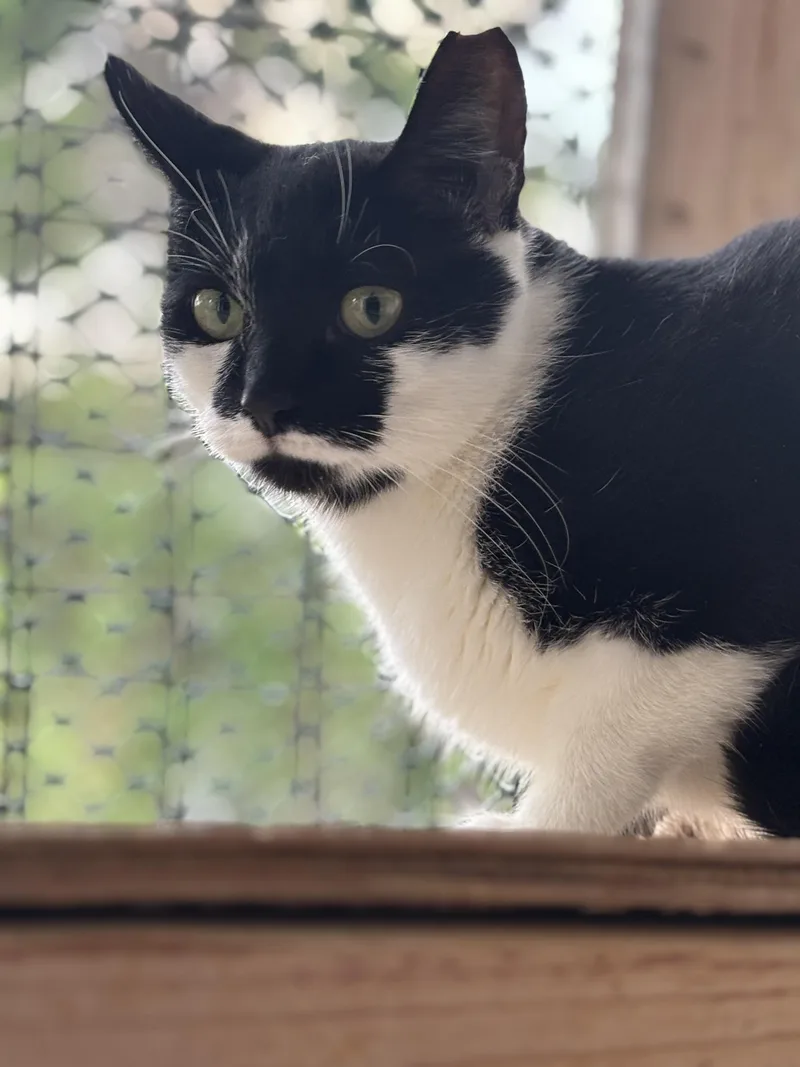 Samantha thumbnail 3