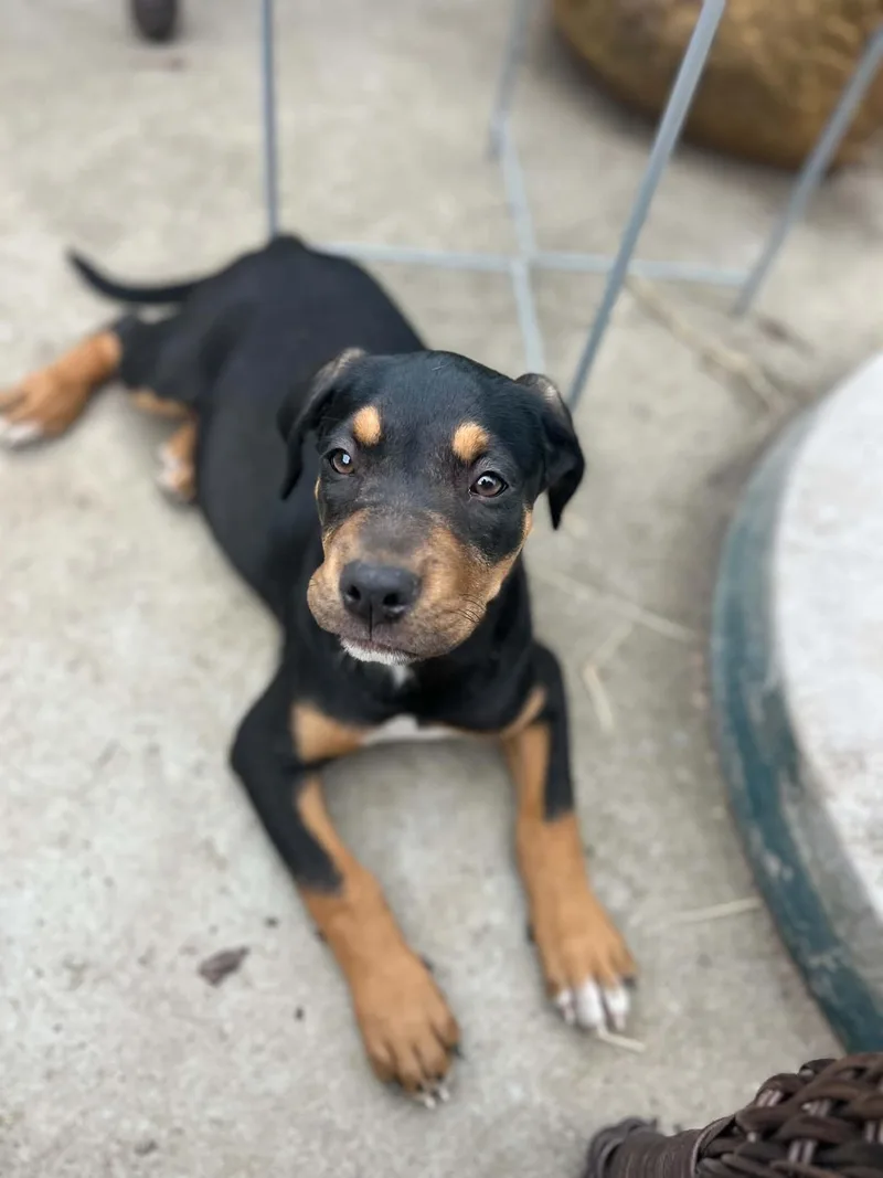 Rita