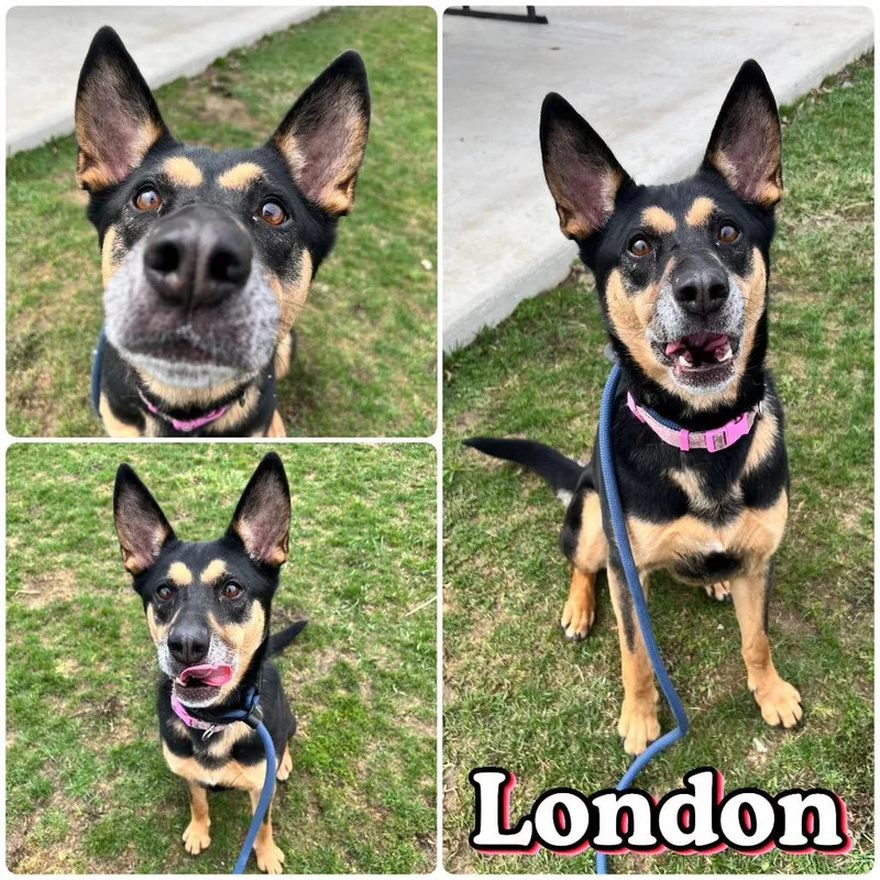 London thumbnail 3