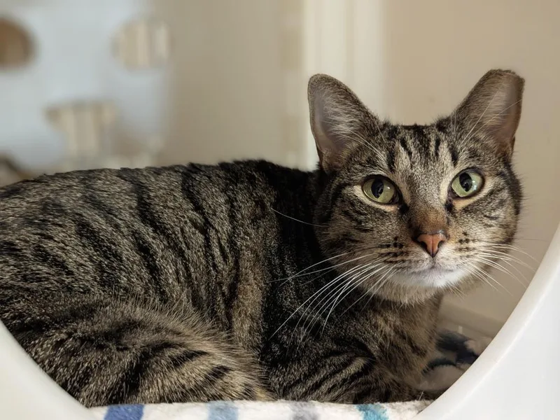 Ellie Aka Tiffany thumbnail 3