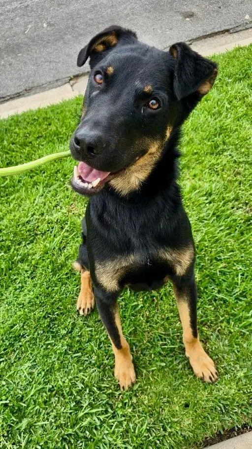 Marty Mcfly thumbnail 2