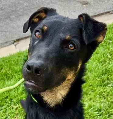 Marty Mcfly thumbnail 3