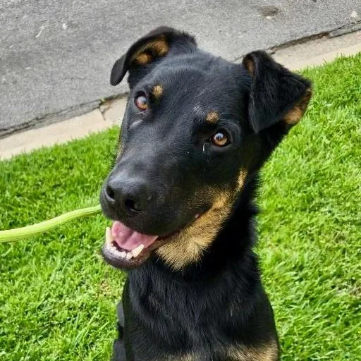 Marty Mcfly thumbnail 4