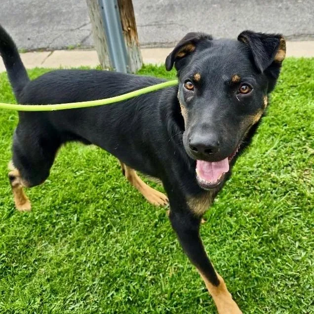 Marty Mcfly thumbnail 5