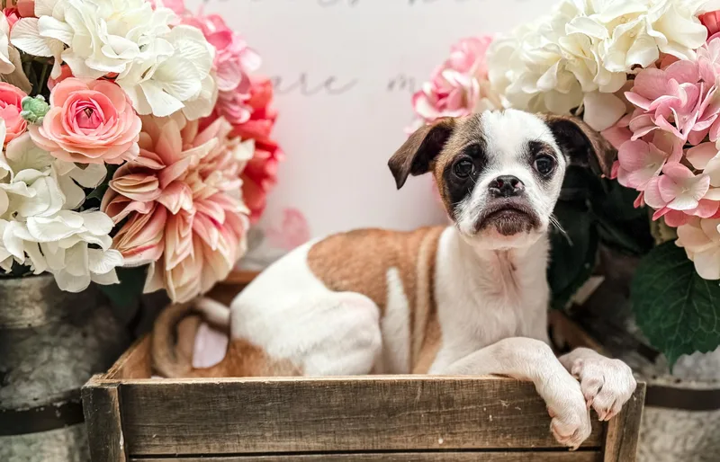 Haymitch thumbnail 2