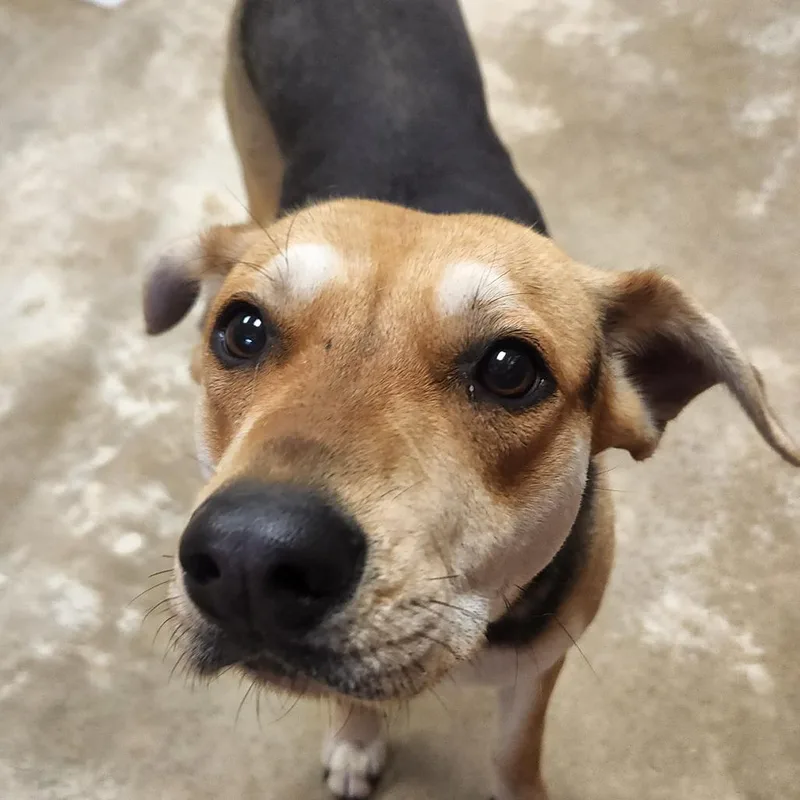 Rhianna  U thumbnail 3