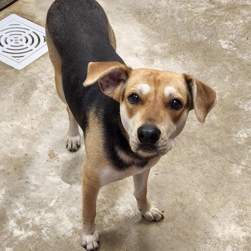 Rhianna  U thumbnail 4