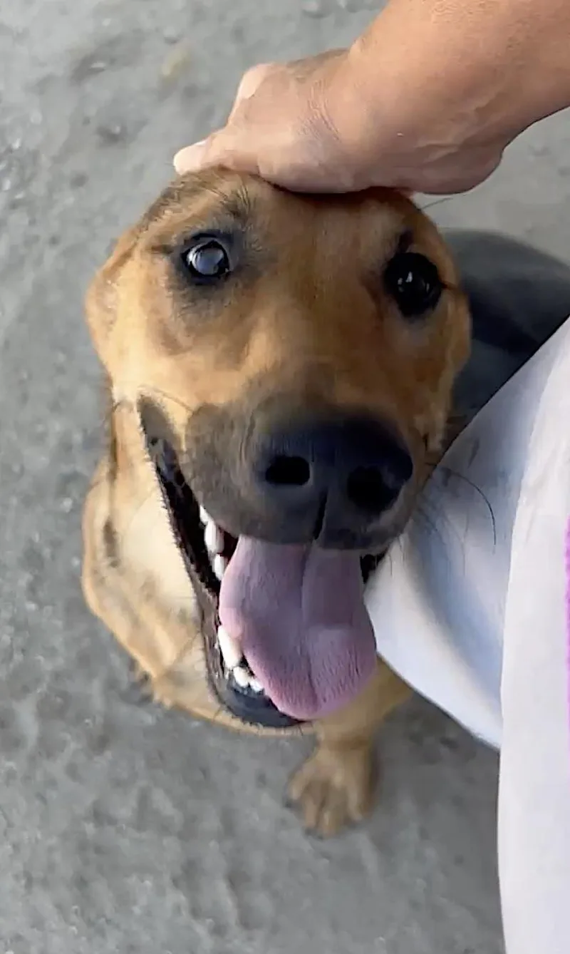 Sammy thumbnail 2