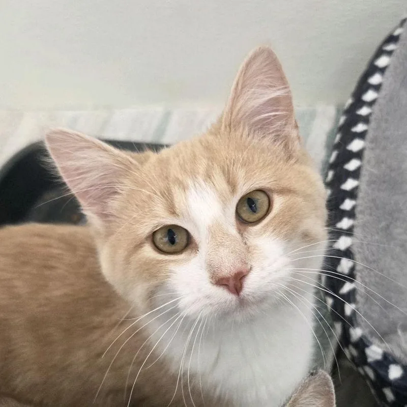 Captain Cranky thumbnail 2