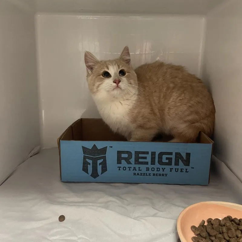 Captain Cranky thumbnail 3