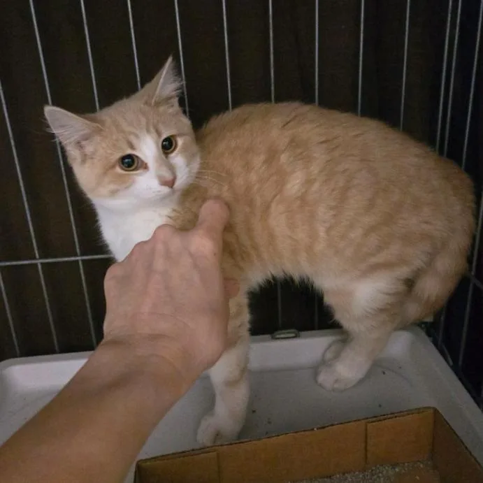 Captain Cranky thumbnail 5