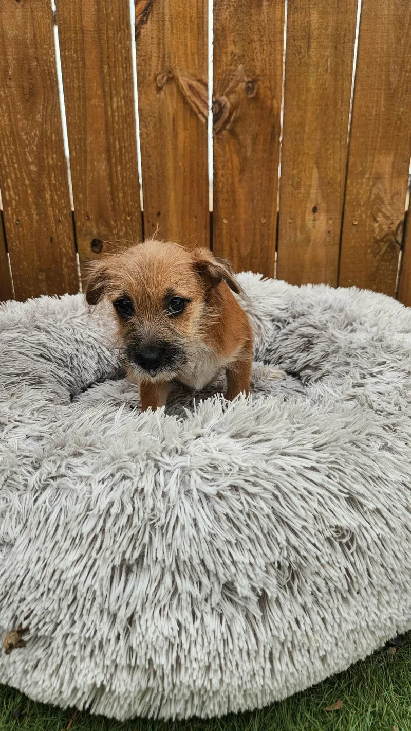 Pinky Ka thumbnail 2