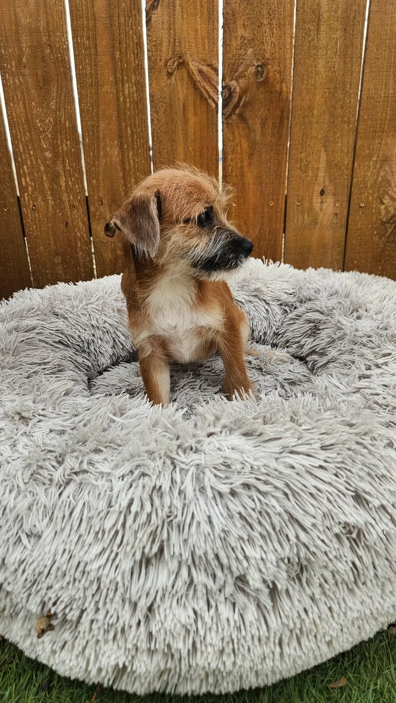 Pinky Ka thumbnail 3