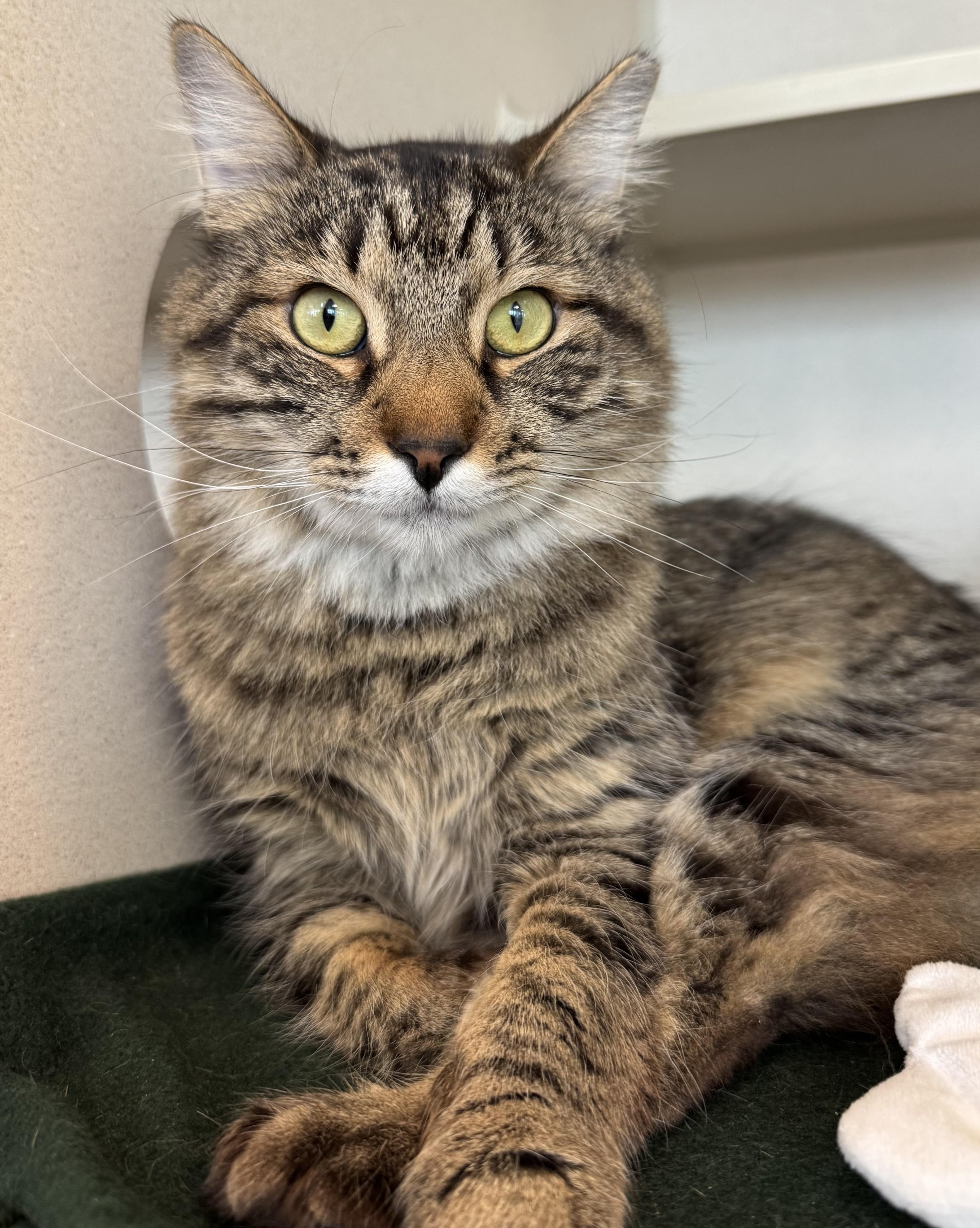 Dr. Eggbert Salad thumbnail 3