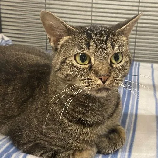 Brighton thumbnail 2