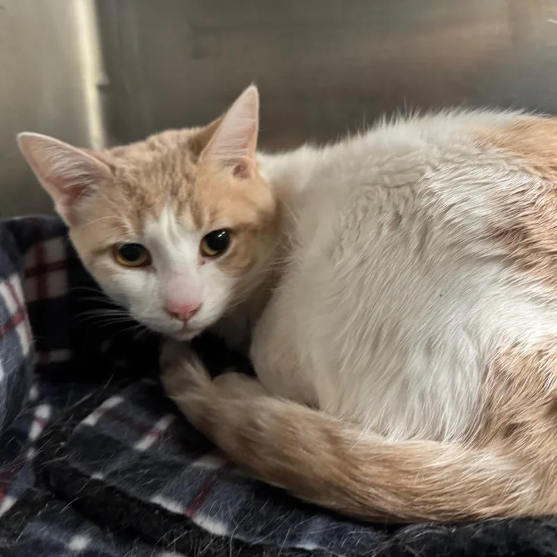 Sebastian C thumbnail 2