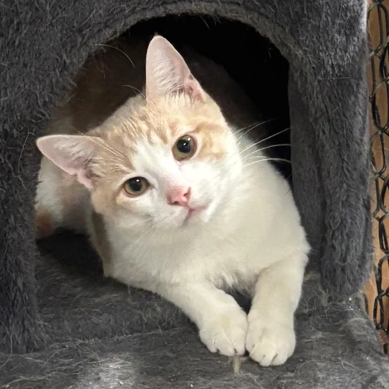 Sebastian C thumbnail 3