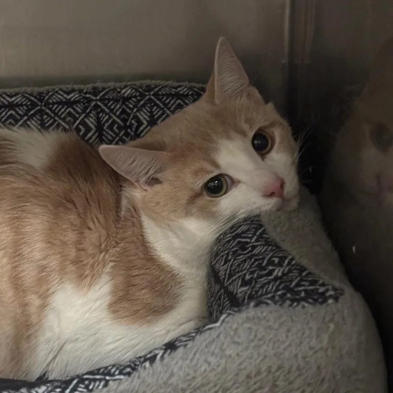 Sebastian C thumbnail 4