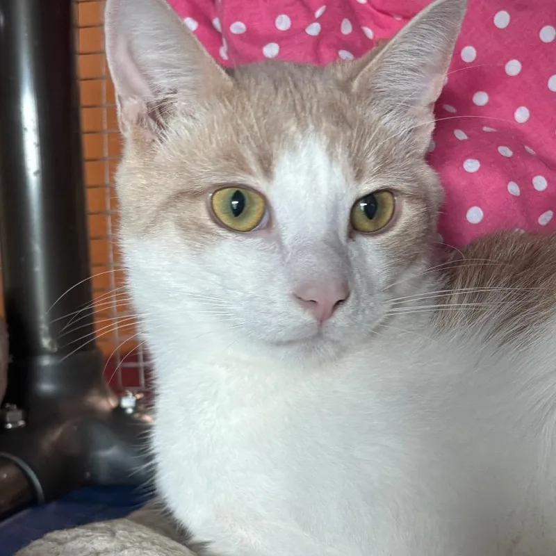 Sebastian C thumbnail 5