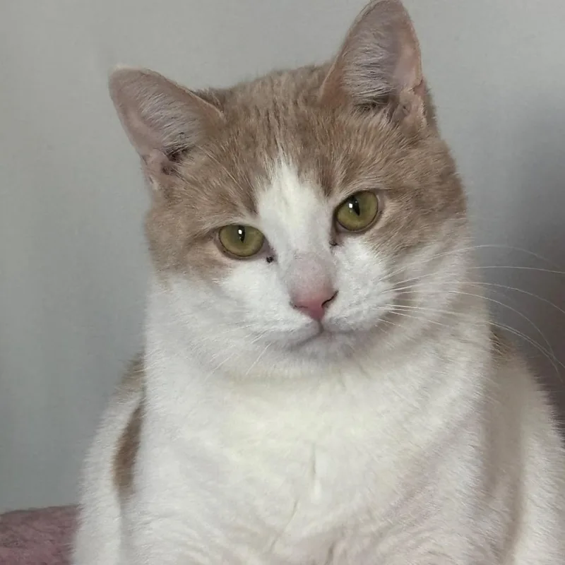 Sebastian C thumbnail 6