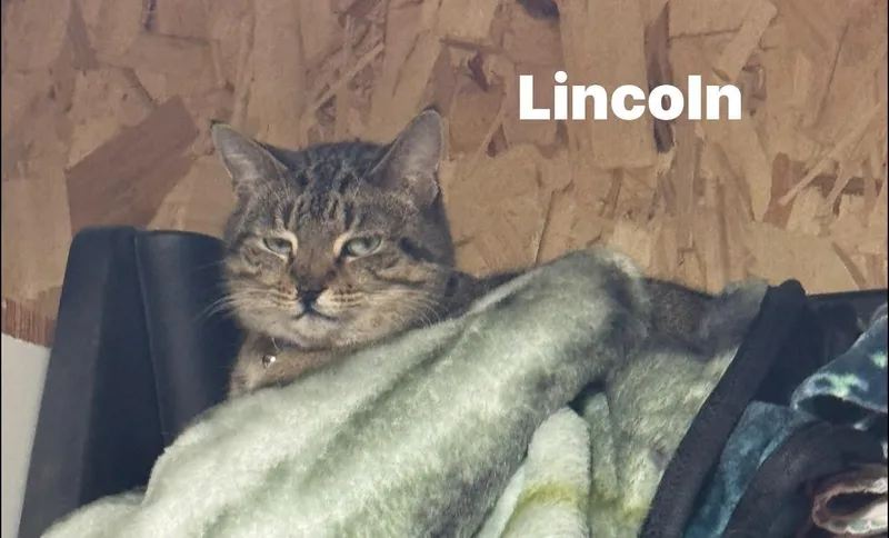 Lincoln