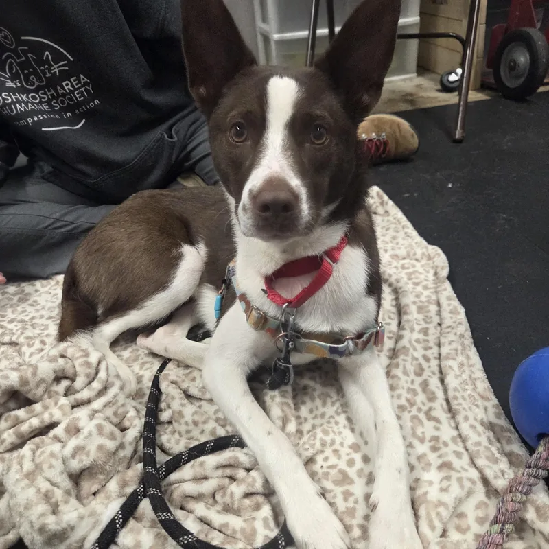 Irisadventurous & Sweet! thumbnail 4