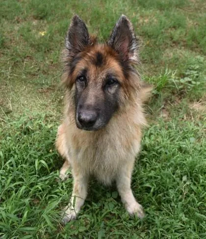 Kiva