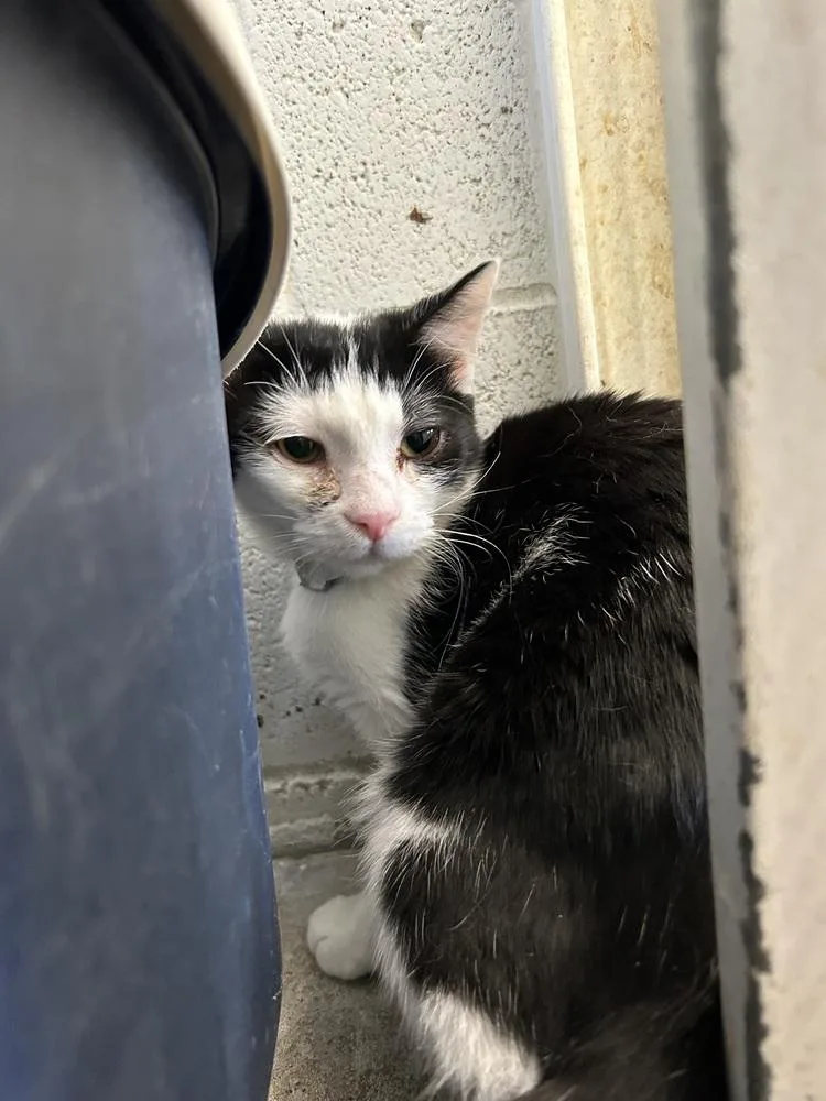 Jeremiah thumbnail 2