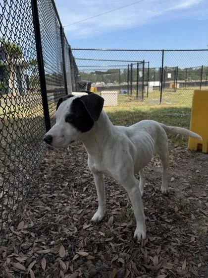 Betsy thumbnail 2