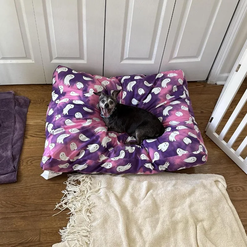 Remi Emmie Lou thumbnail 2