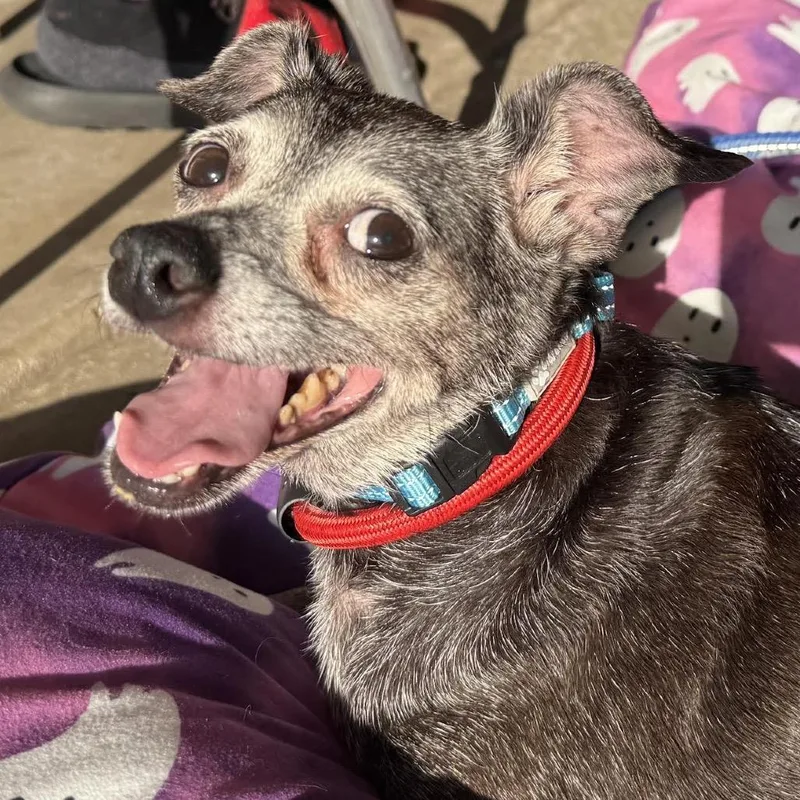 Remi Emmie Lou thumbnail 4