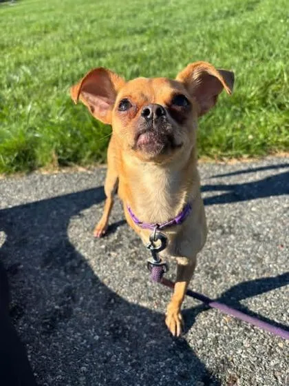 Precious