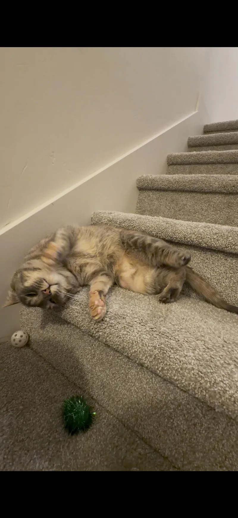 Smokey And Charcoal thumbnail 2