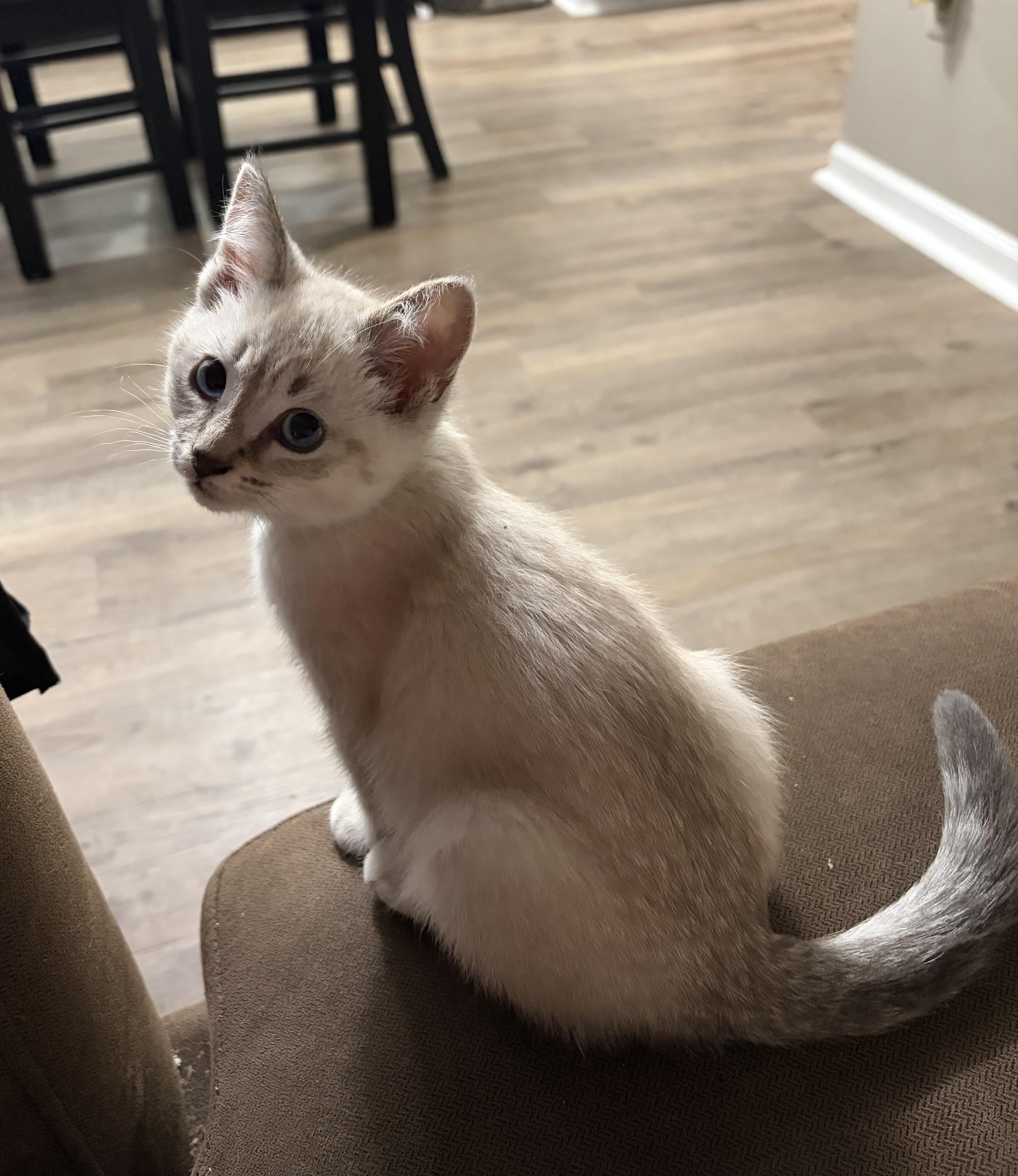 Coco thumbnail 2