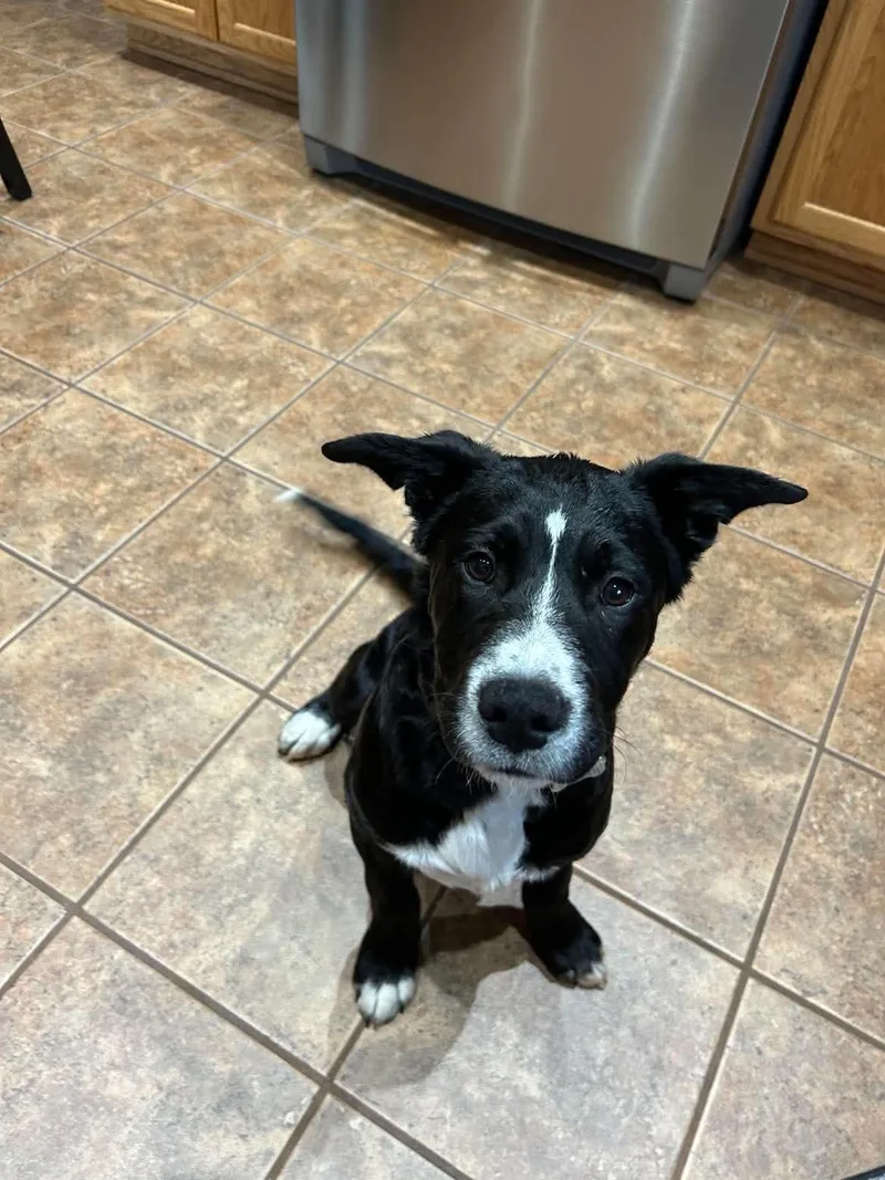 Charlie