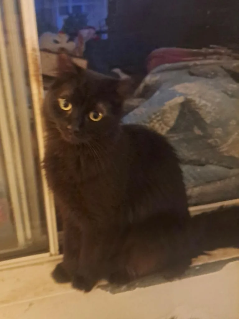 Oliver