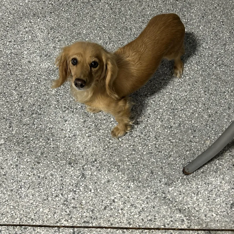 Candy  Lbs thumbnail 2