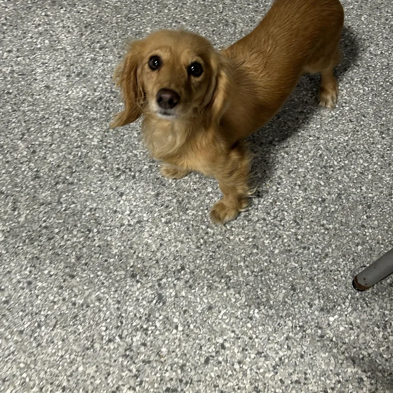 Candy  Lbs thumbnail 3