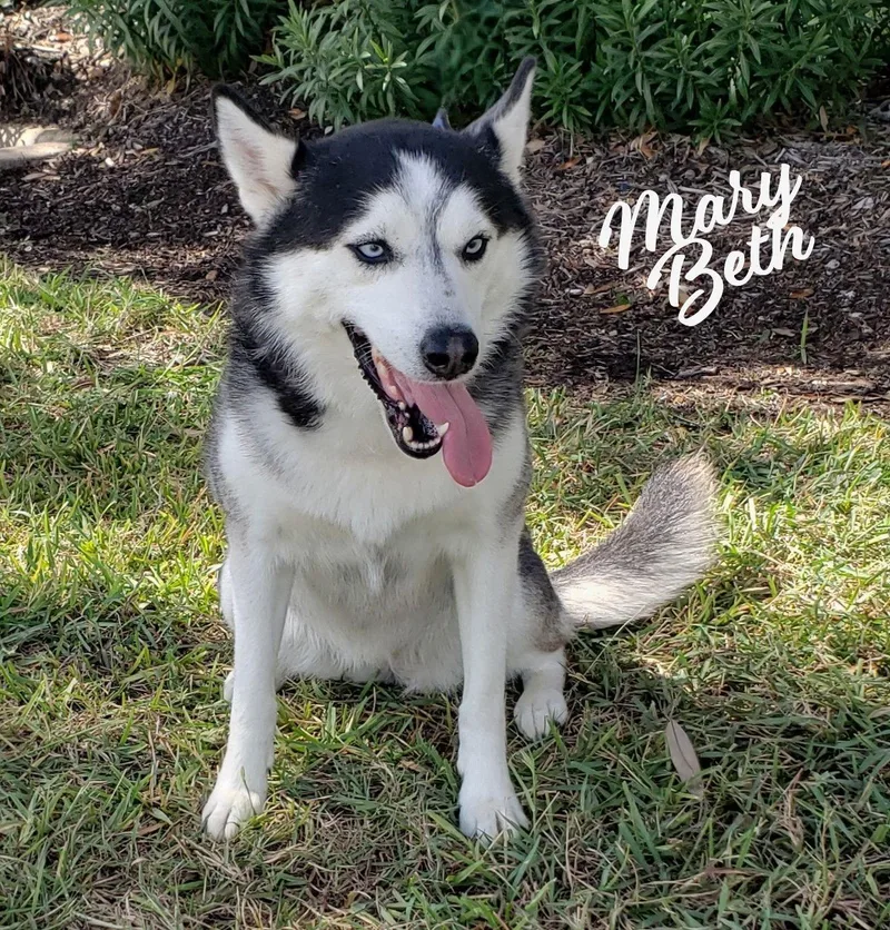 Mary Beth Mscongeniality