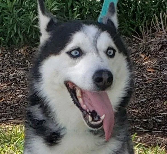 Mary Beth Mscongeniality thumbnail 3